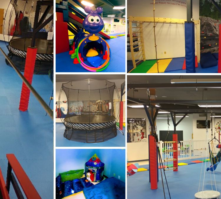 we-rock-the-spectrum-kids-gym-for-all-kids-brainerd-lakes-photo